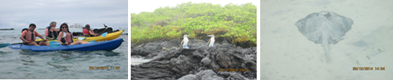 kayaking tours galapagos island